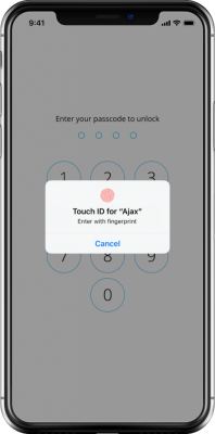 app_touchid@2x